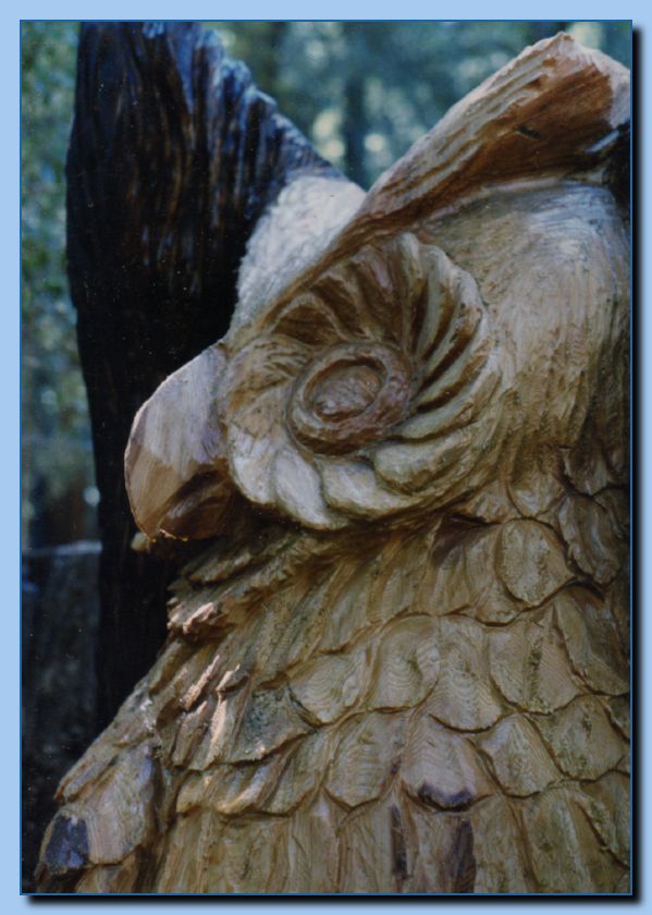2-47 owl-archive-0001